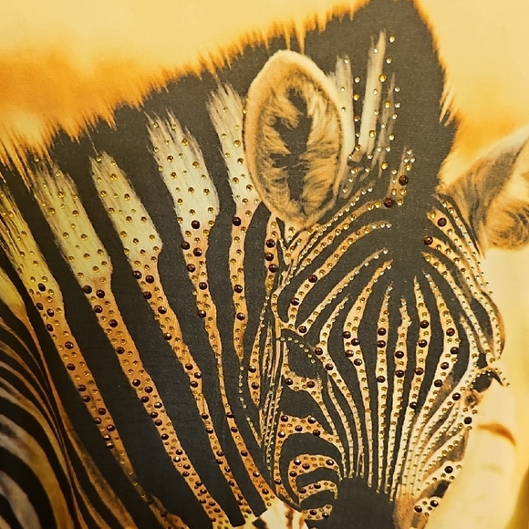 Wild Zebra Print Sleeveless Tunic - Picture 4 of 7